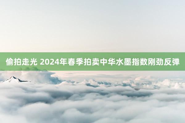 偷拍走光 2024年春季拍卖中华水墨指数刚劲反弹