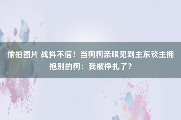 偷拍图片 战抖不信！当狗狗亲眼见到主东谈主拥抱别的狗：我被挣扎了？