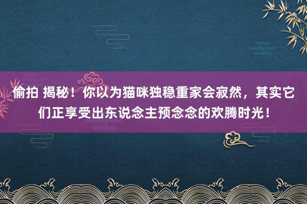 偷拍 揭秘！你以为猫咪独稳重家会寂然，其实它们正享受出东说念主预念念的欢腾时光！