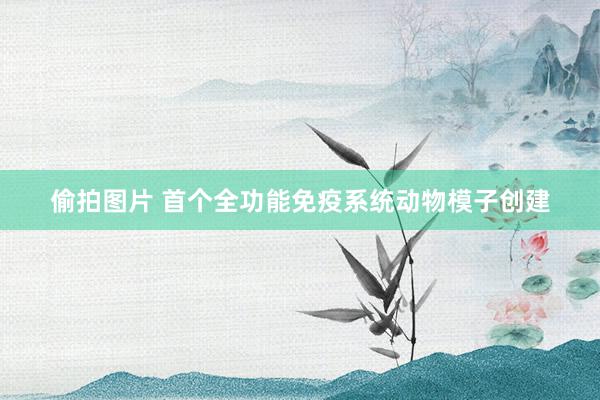 偷拍图片 首个全功能免疫系统动物模子创建