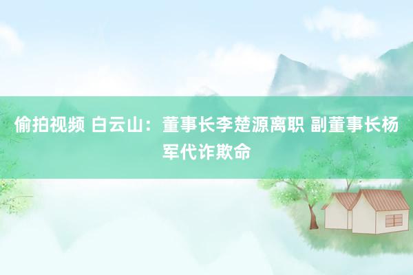 偷拍视频 白云山：董事长李楚源离职 副董事长杨军代诈欺命