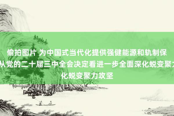 偷拍图片 为中国式当代化提供强健能源和轨制保障——从党的二十届三中全会决定看进一步全面深化蜕变聚力攻坚