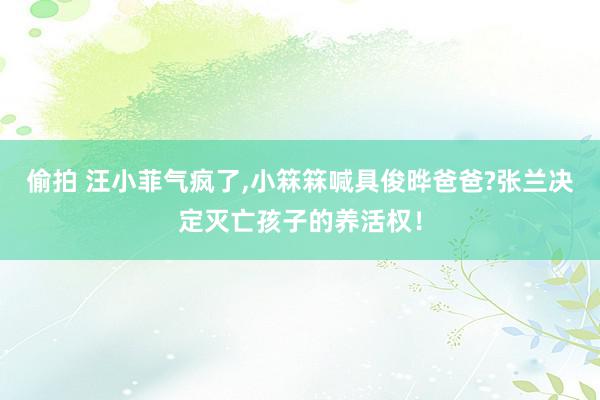 偷拍 汪小菲气疯了,小箖箖喊具俊晔爸爸?张兰决定灭亡孩子的养活权！