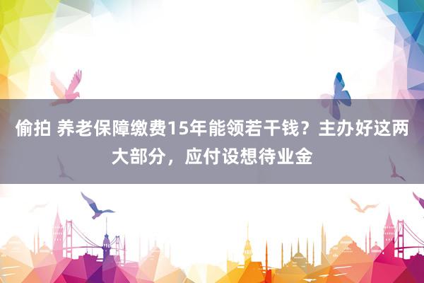 偷拍 养老保障缴费15年能领若干钱？主办好这两大部分，应付设想待业金