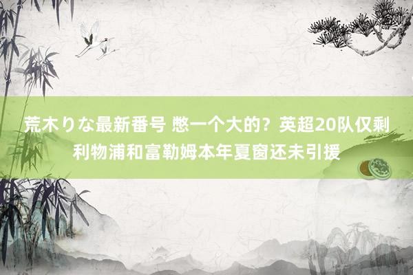 荒木りな最新番号 憋一个大的？英超20队仅剩利物浦和富勒姆本年夏窗还未引援