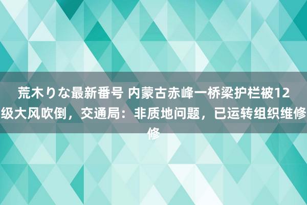 荒木りな最新番号 内蒙古赤峰一桥梁护栏被12级大风吹倒，交通局：非质地问题，已运转组织维修