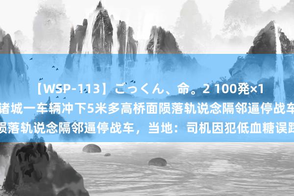 【WSP-113】ごっくん、命。2 100発×100人×一撃ごっくん 山东诸城一车辆冲下5米多高桥面陨落轨说念隔邻逼停战车，当地：司机因犯低血糖误踩油门