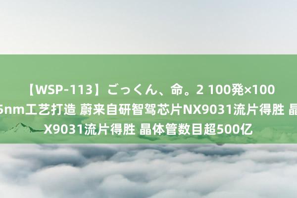 【WSP-113】ごっくん、命。2 100発×100人×一撃ごっくん 5nm工艺打造 蔚来自研智驾芯片NX9031流片得胜 晶体管数目超500亿