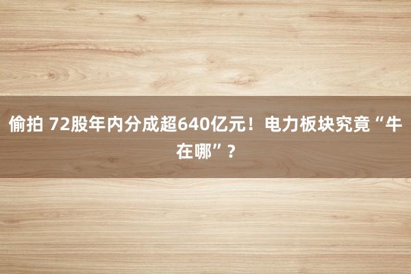 偷拍 72股年内分成超640亿元！电力板块究竟“牛在哪”？