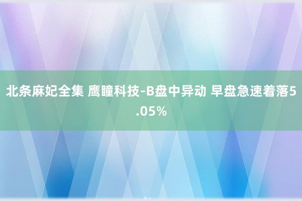 北条麻妃全集 鹰瞳科技-B盘中异动 早盘急速着落5.05%