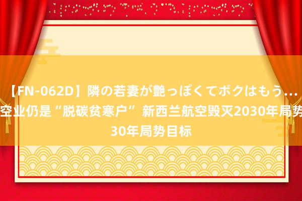 【FN-062D】隣の若妻が艶っぽくてボクはもう… 5 航空业仍是“脱碳贫寒户” 新西兰航空毁灭2030年局势目标