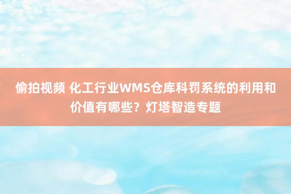 偷拍视频 化工行业WMS仓库科罚系统的利用和价值有哪些？灯塔智造专题