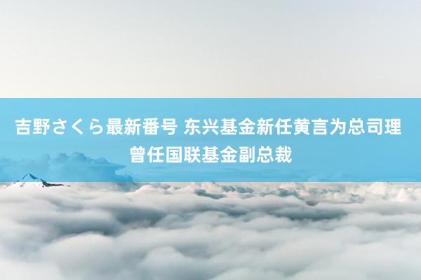 吉野さくら最新番号 东兴基金新任黄言为总司理 曾任国联基金副总裁