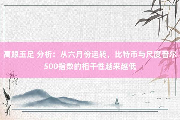 高跟玉足 分析：从六月份运转，比特币与尺度普尔500指数的相干性越来越低