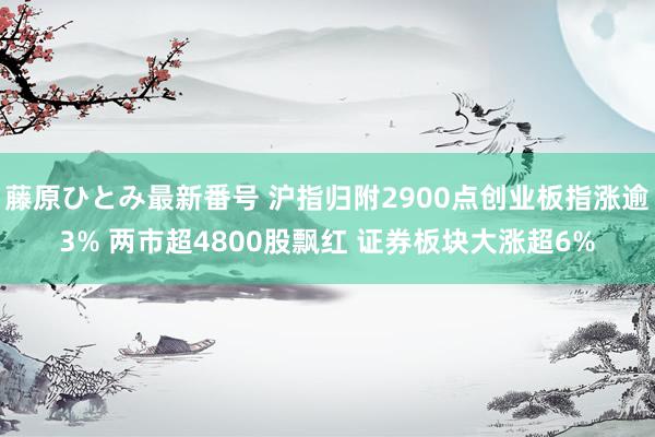 藤原ひとみ最新番号 沪指归附2900点创业板指涨逾3% 两市超4800股飘红 证券板块大涨超6%