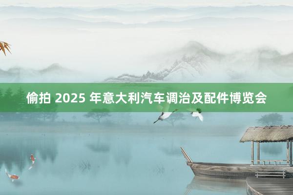 偷拍 2025 年意大利汽车调治及配件博览会