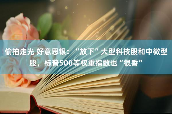 偷拍走光 好意思银：“放下”大型科技股和中微型股，标普500等权重指数也“很香”