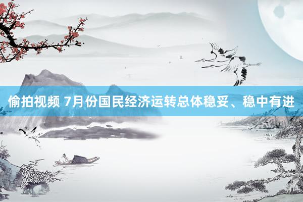 偷拍视频 7月份国民经济运转总体稳妥、稳中有进