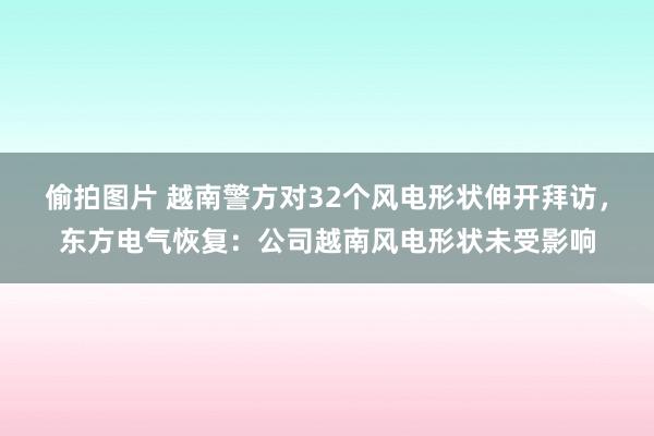 偷拍图片 越南警方对32个风电形状伸开拜访，东方电气恢复：公司越南风电形状未受影响