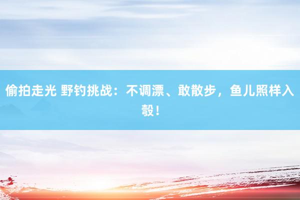 偷拍走光 野钓挑战：不调漂、敢散步，鱼儿照样入彀！