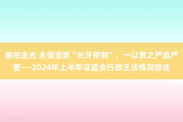 偷拍走光 永恒坚抓“长牙带刺”，一以贯之严监严管——2024年上半年证监会行政王法情况综述