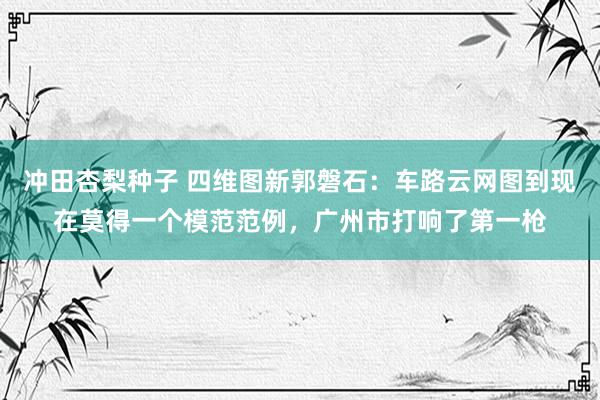 冲田杏梨种子 四维图新郭磐石：车路云网图到现在莫得一个模范范例，广州市打响了第一枪