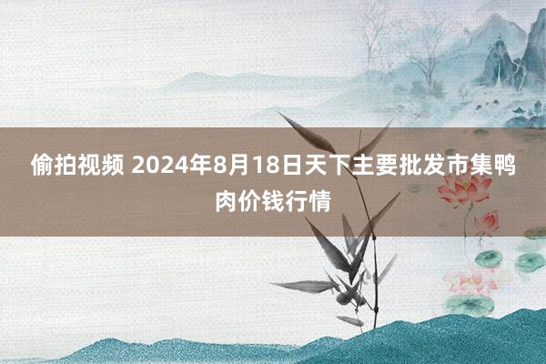 偷拍视频 2024年8月18日天下主要批发市集鸭肉价钱行情