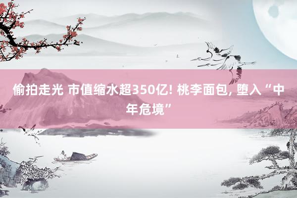 偷拍走光 市值缩水超350亿! 桃李面包, 堕入“中年危境”