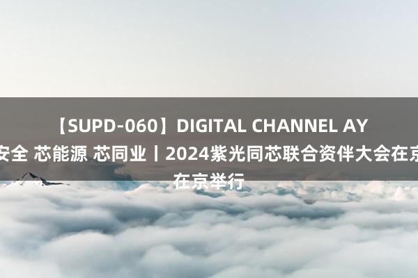 【SUPD-060】DIGITAL CHANNEL AYA 芯安全 芯能源 芯同业丨2024紫光同芯联合资伴大会在京举行