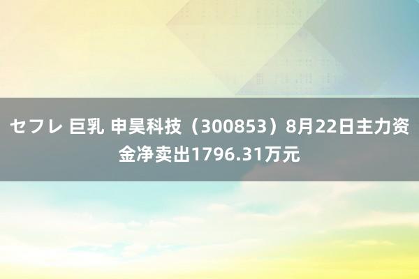 セフレ 巨乳 申昊科技（300853）8月22日主力资金净卖出1796.31万元