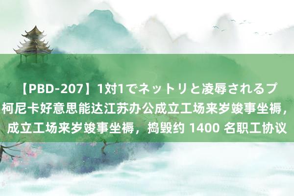 【PBD-207】1対1でネットリと凌辱されるプレミア女優たち 8時間 柯尼卡好意思能达江苏办公成立工场来岁竣事坐褥，捣毁约 1400 名职工协议